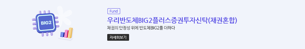 (Fund) 우리반도체BIG2플러스증권투자신탁(채권혼합) 채권의 안정성 위에 반도체BIG2를 더하다 (자세히보기)